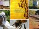 Radovi u pčelinjaku oktobar